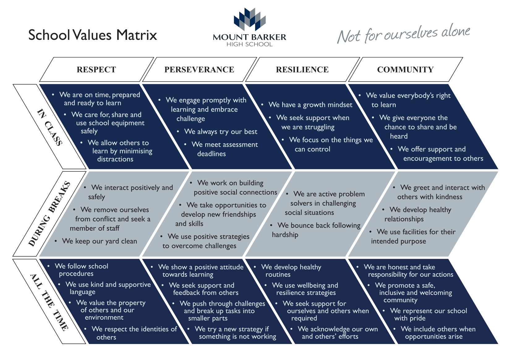 School values matrix